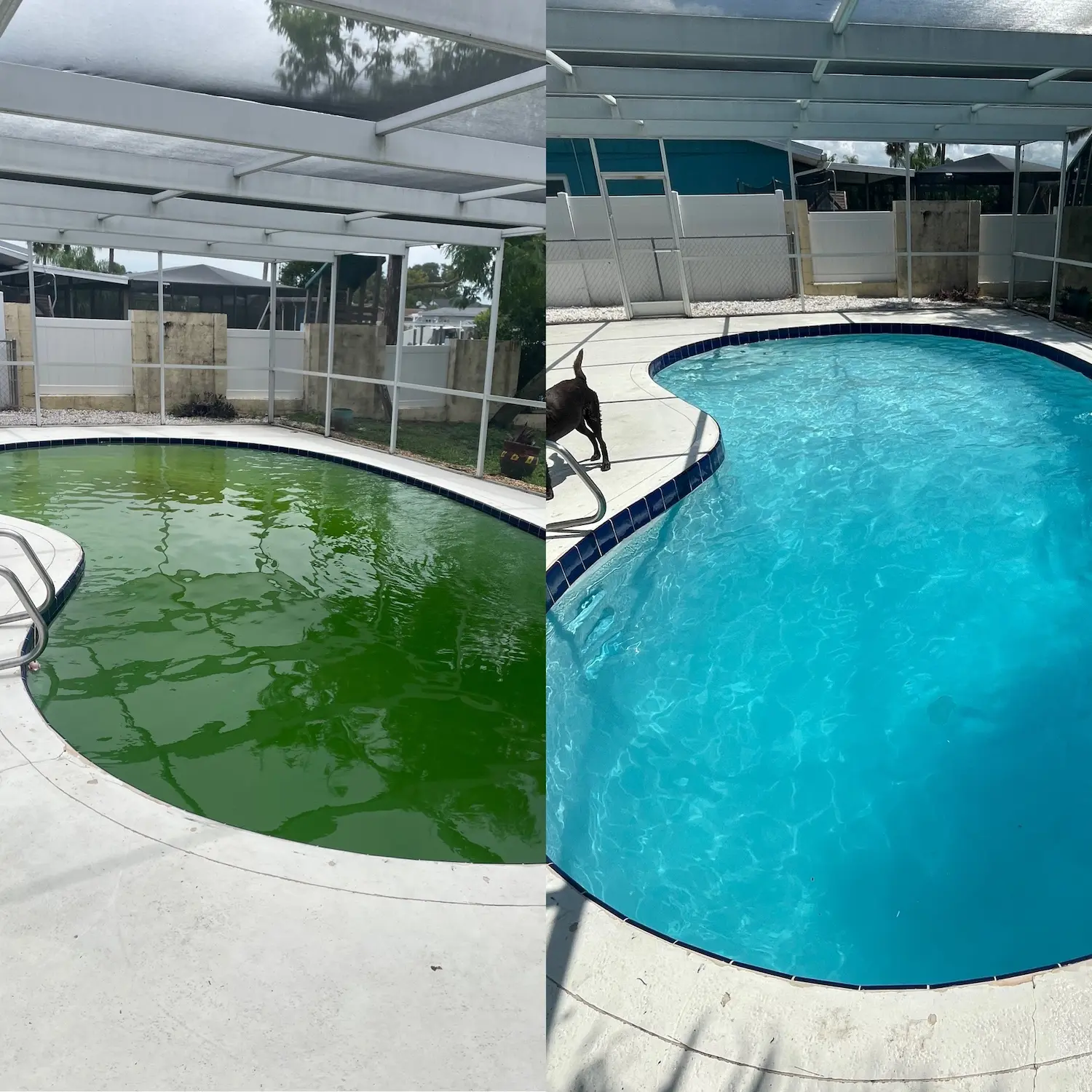 Pool cleaning near me 3